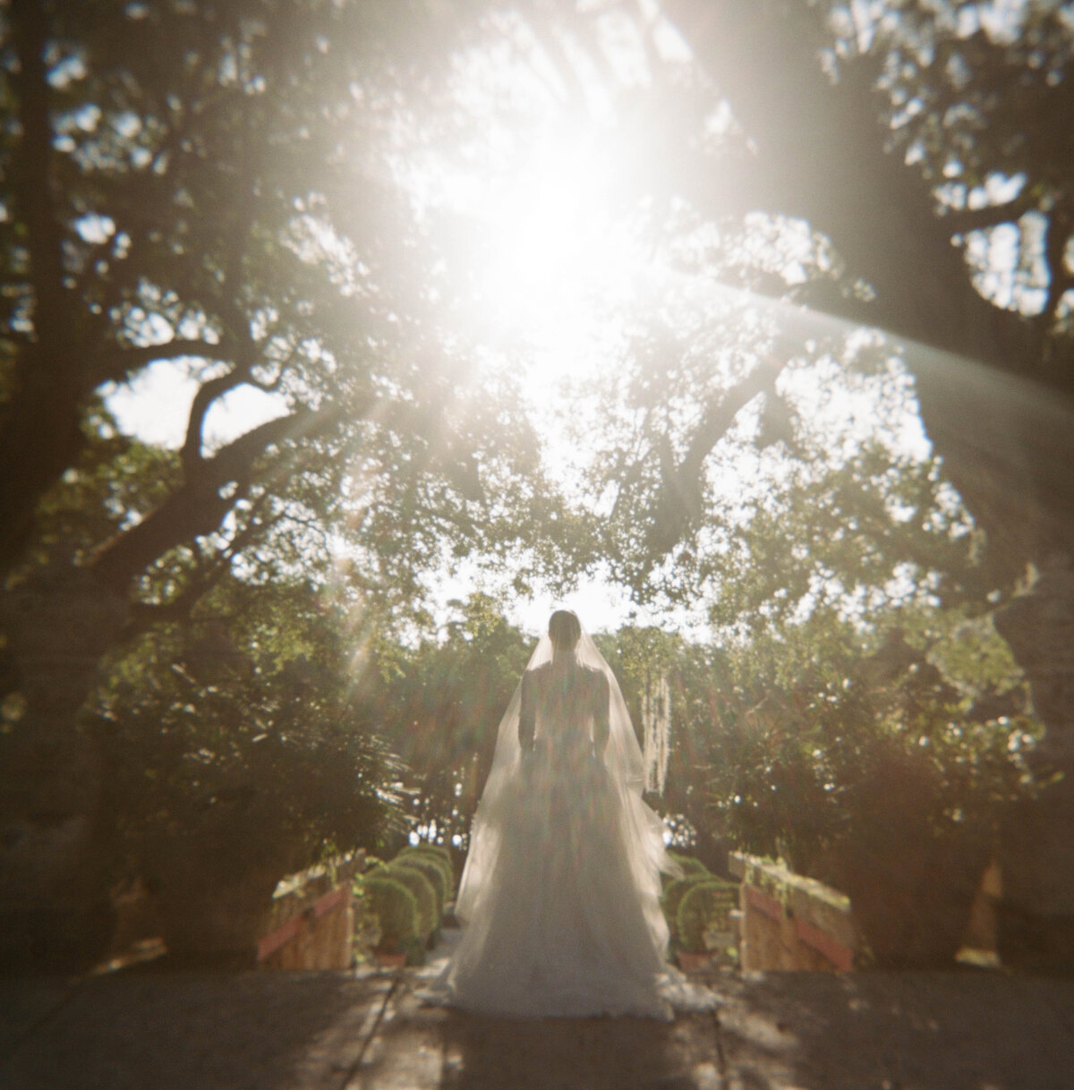 TheresaKellyPhoto-96