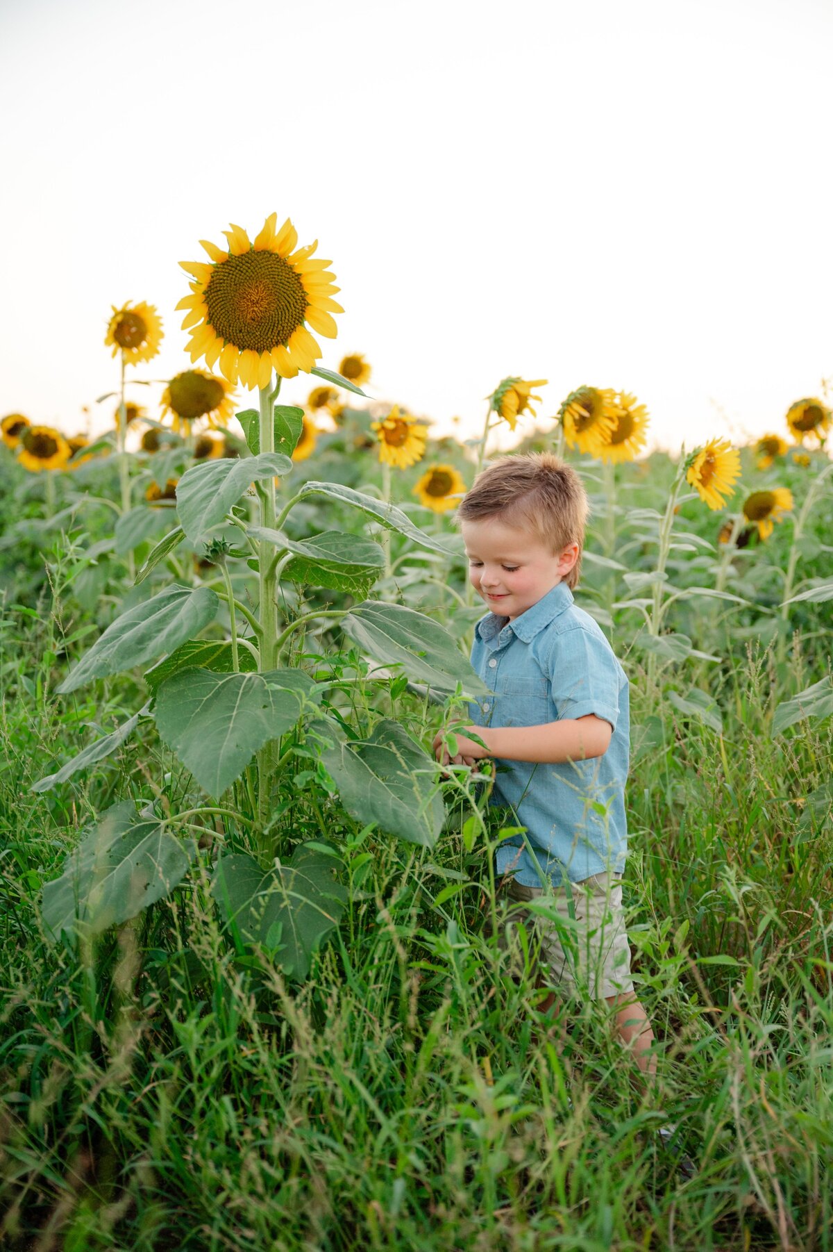 Fredericksburg Texas Photographer
