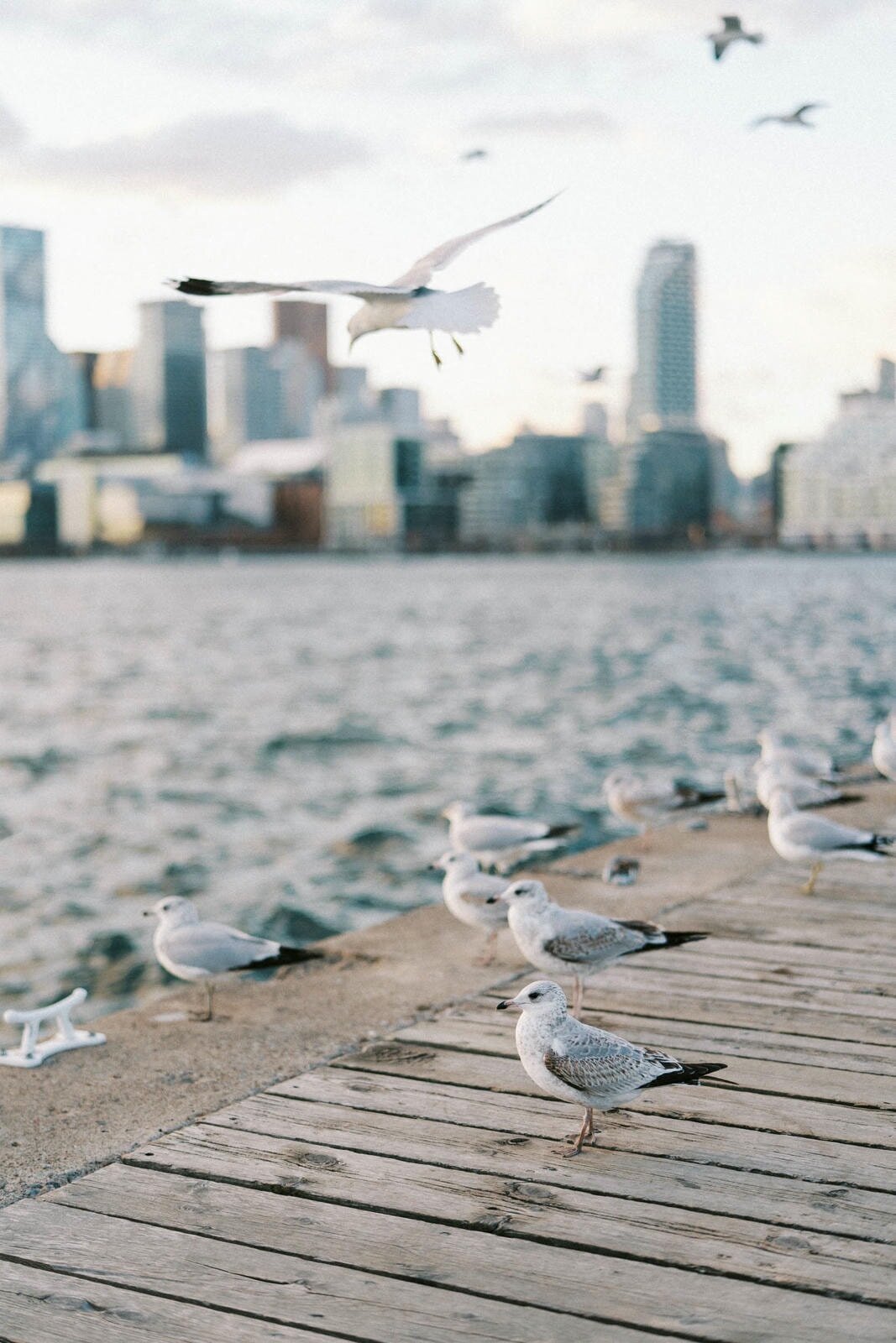 E3-Toronto-Engagement-Nastia-and-Paul-2023-11-13-2500px-1073