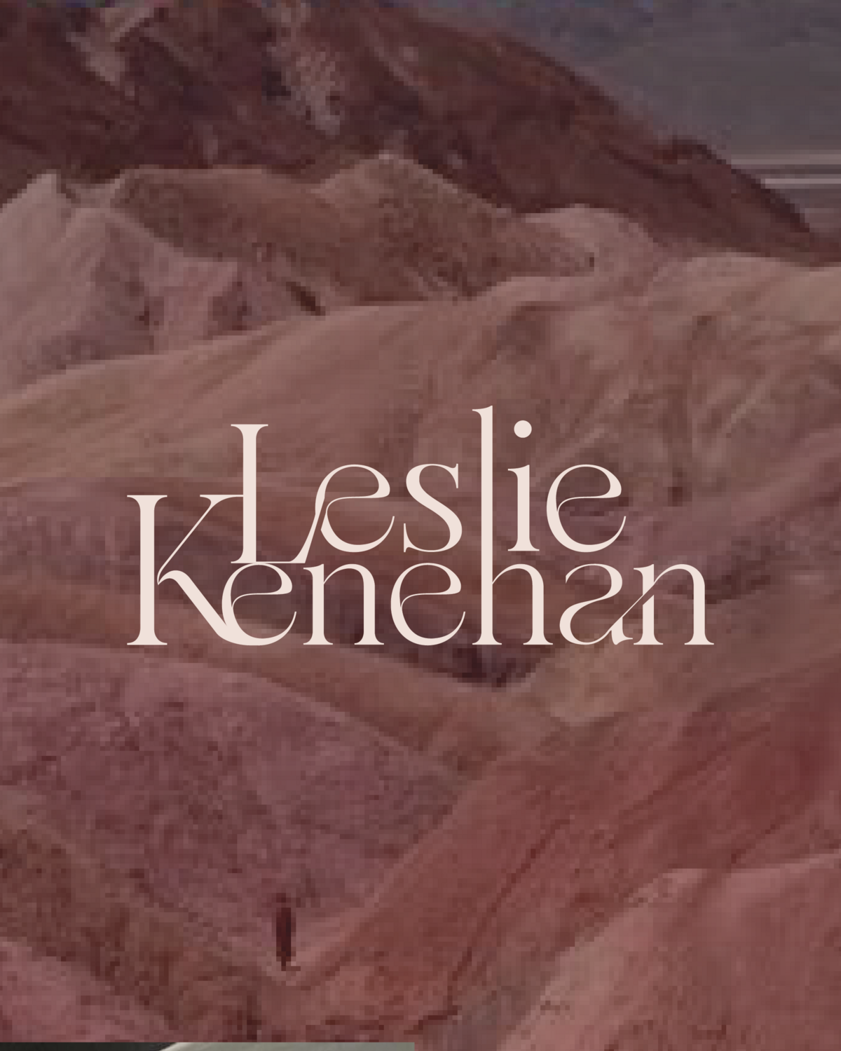 Mon Hope Design_Branding Designer_Leslie Kenehan_Rebrand_Surface Pattern Print StudioArtboard 2@2x