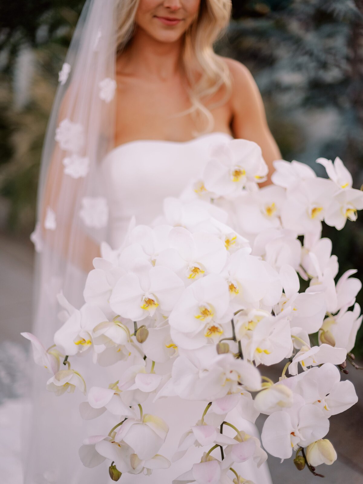 0379-Sally&AustinWedding