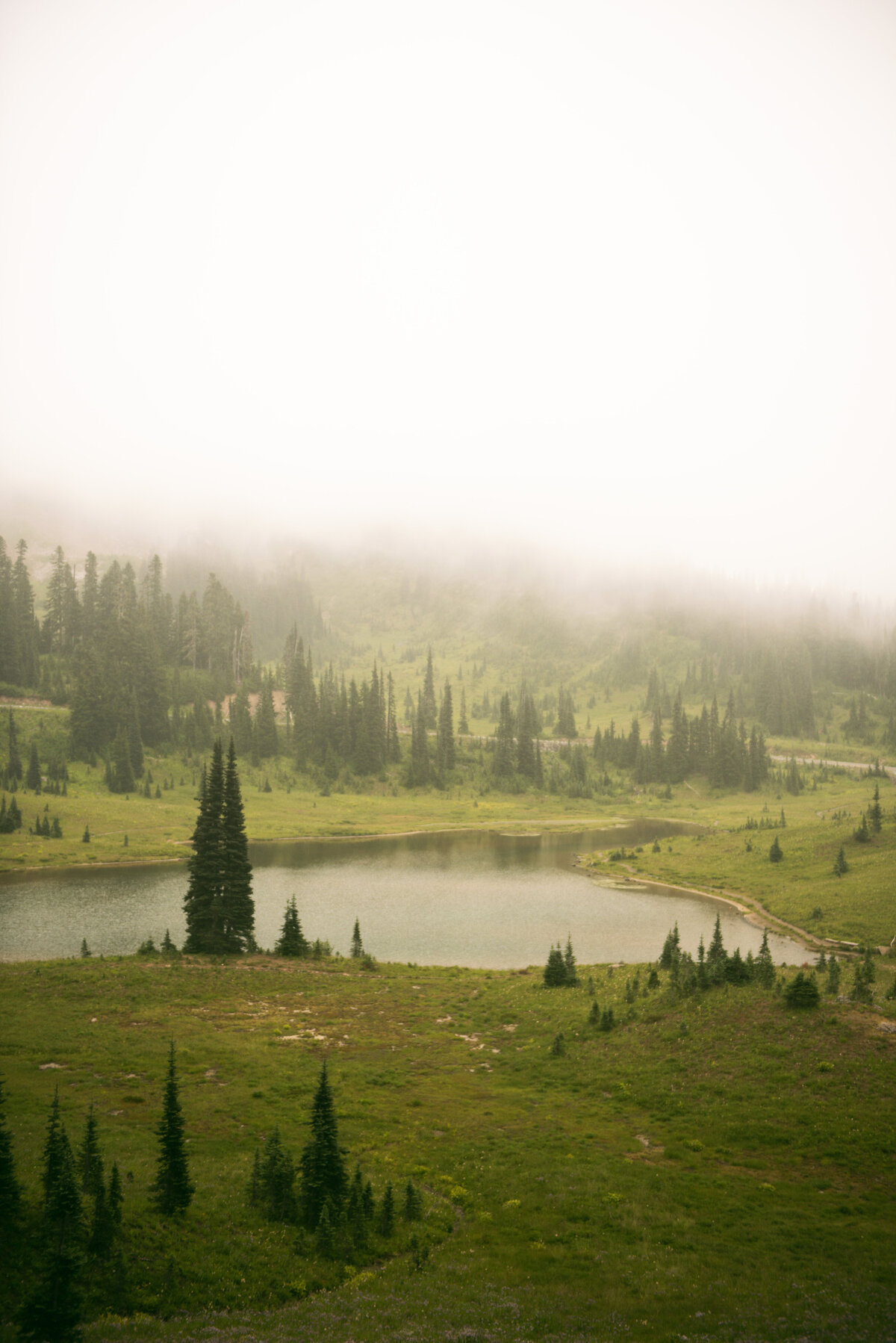 Foggy Lake Mount Rainier National Park
