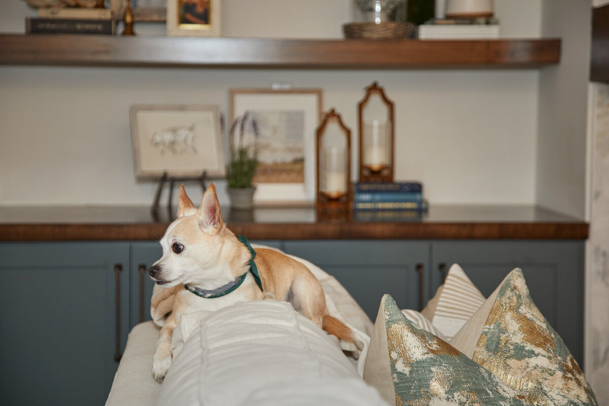 Clearwater-Landing-by-Georgia-Interior-Designer-Southernite-Interiors--15
