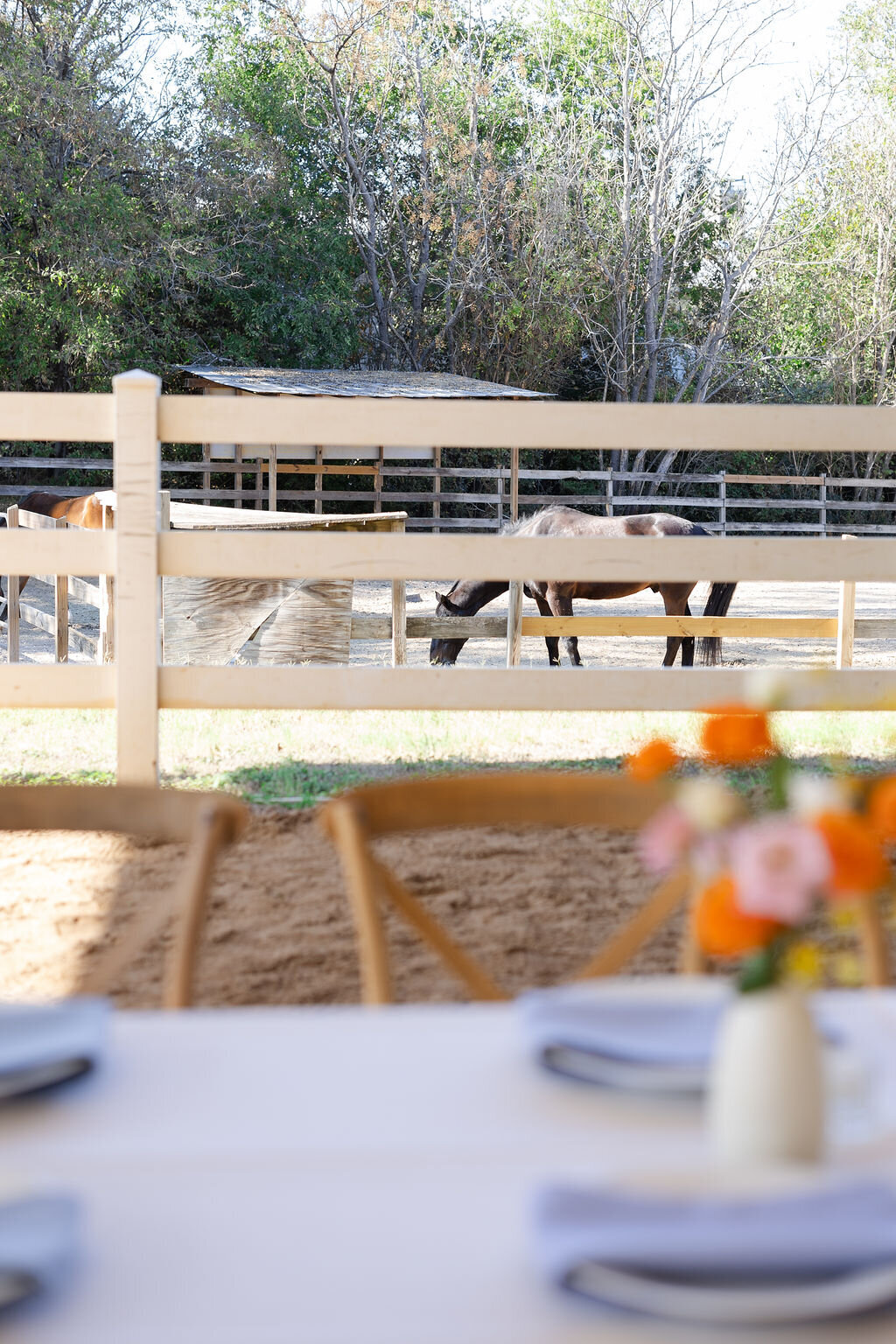 Courtney+Skyler_11.9.24-1033