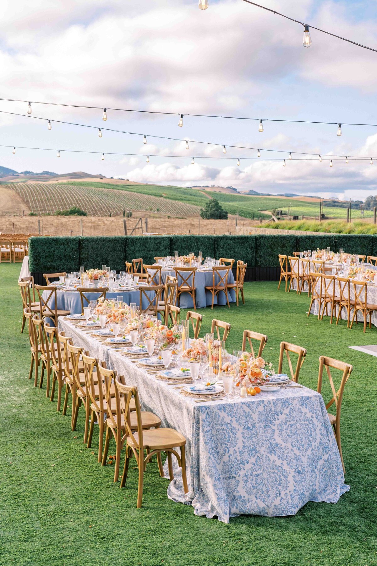 WILLOWAND-BEN-WEDDING-PHOTOGRAPHER-NAPA-25