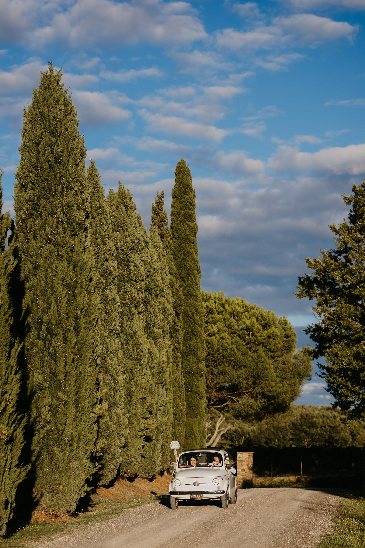 Wedding couple driving white Fiat 500 among cypress trees near Montalcino, wedding photographer Tuscany.