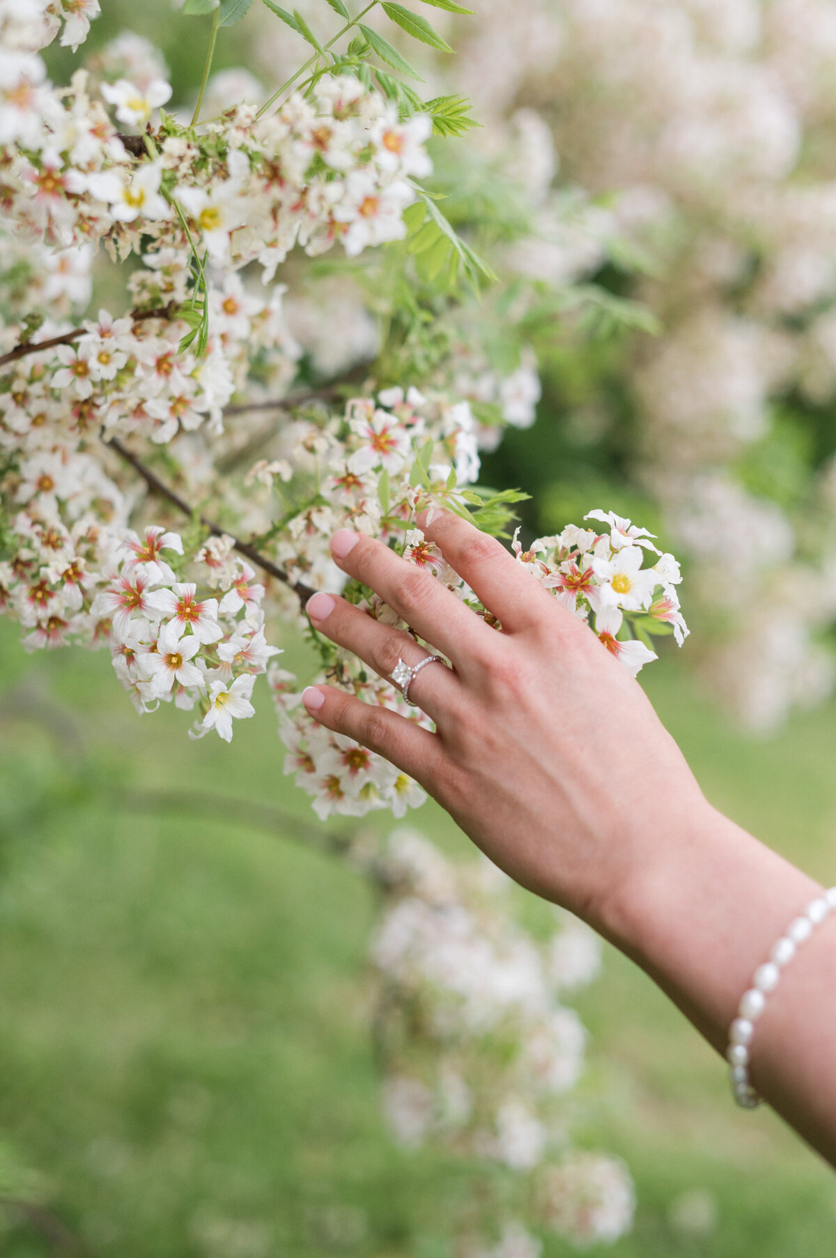 guelph arboretum engagement 36