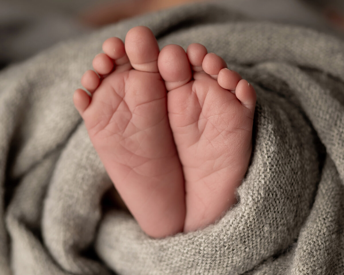 Detailed Pella Newborn Photo of baby feet wrapped in grey blanket