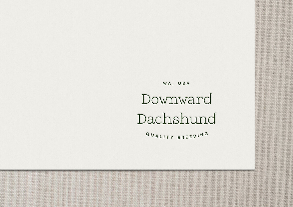DD-logo-deboss
