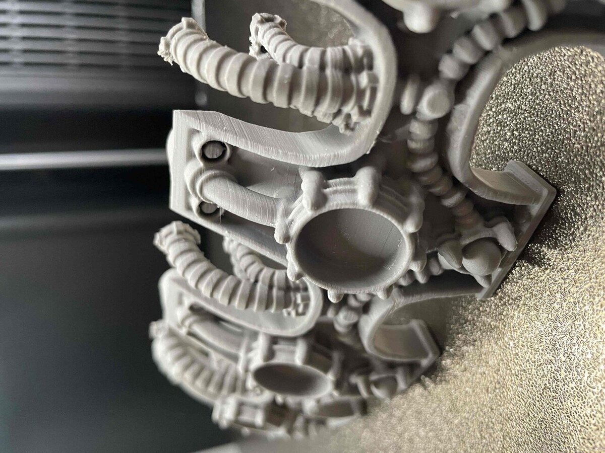 IMG_2005_8_11zon Grande