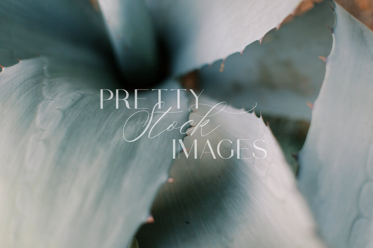 Pretty Stock Images - Mexico-52