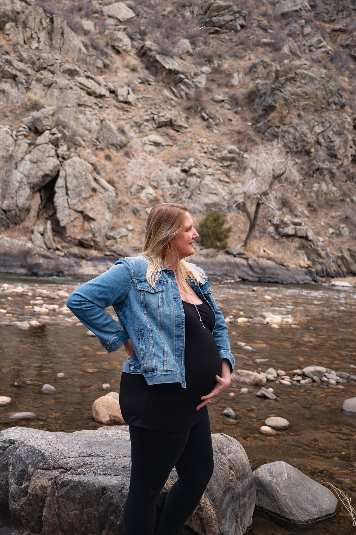 Anna & Eric's Maternity Session Baby #2 (39)