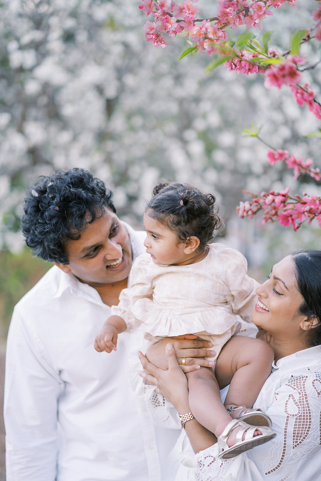 brisbane-family-portraits-photoshoot.jpg