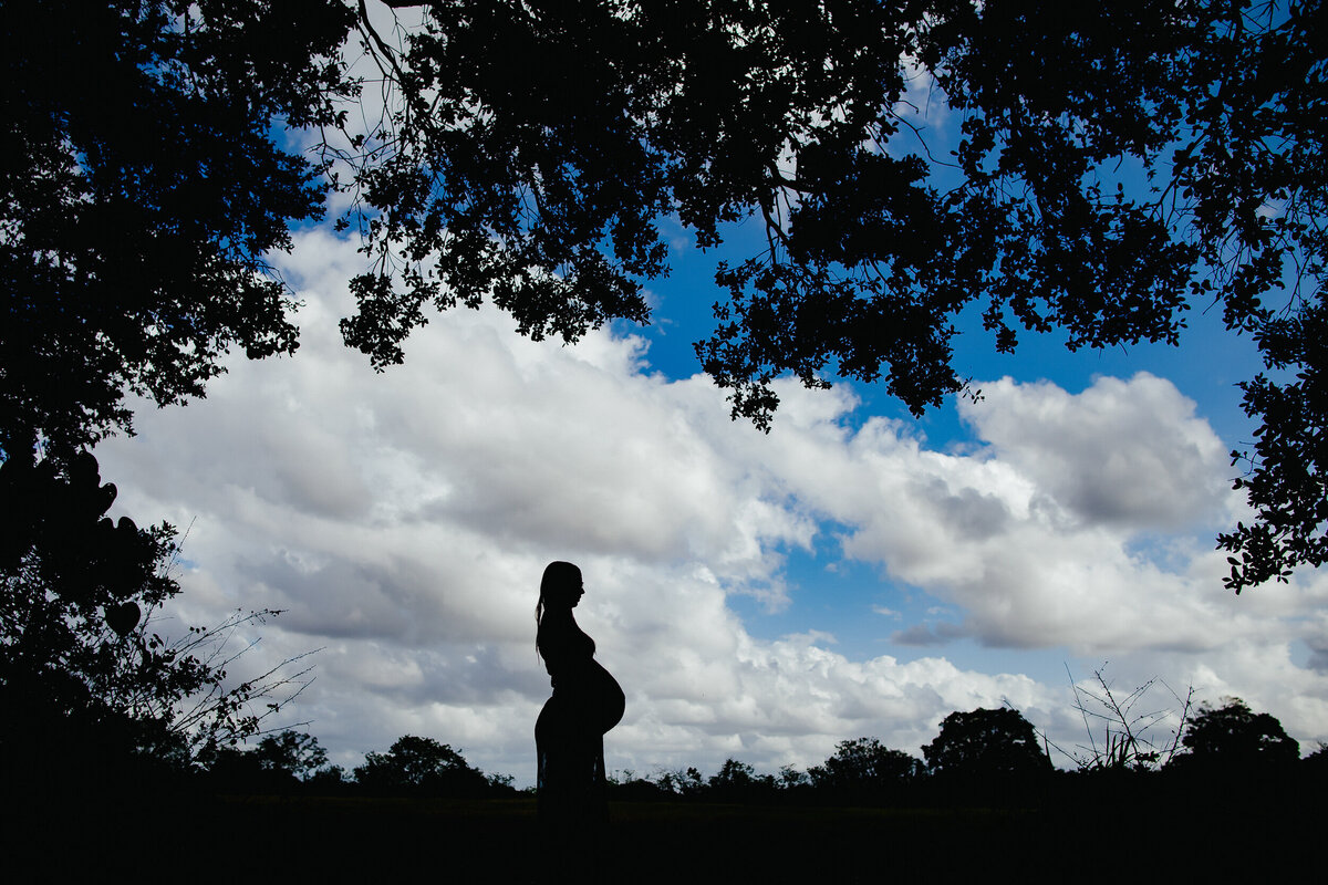 Kara-Pregnancy-Session-Blue-Dress-Tiny-House-Photo-37