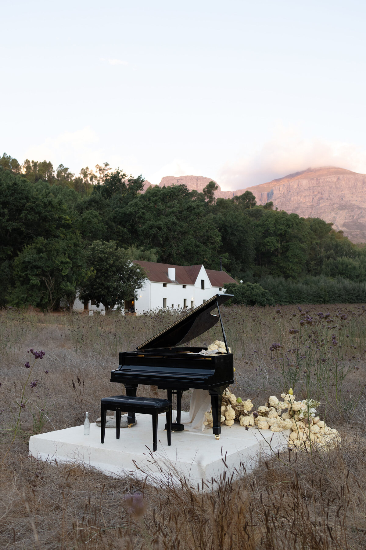 041_SouthAfricaWedding