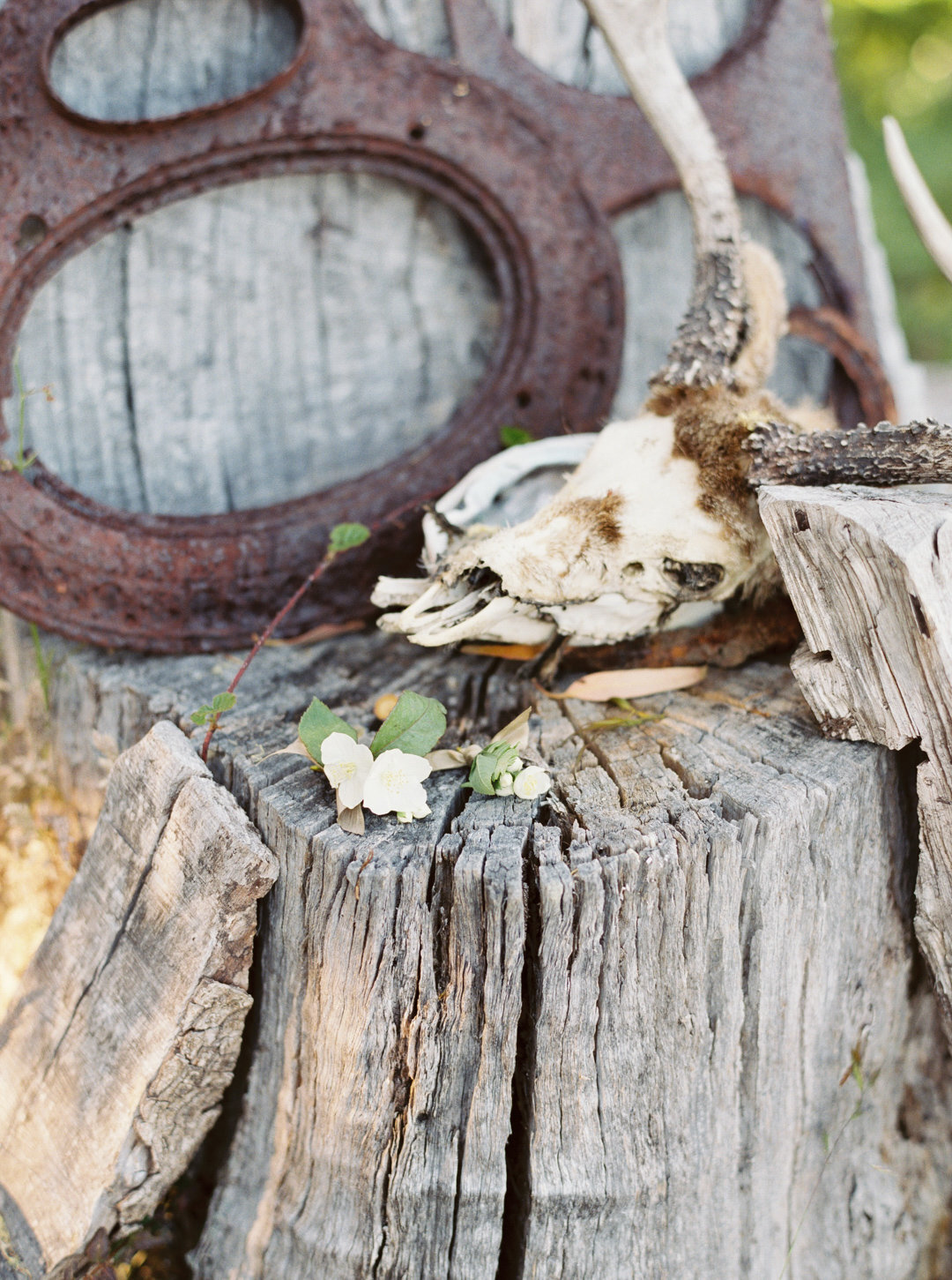 OaklandWeddingPhotography-0003