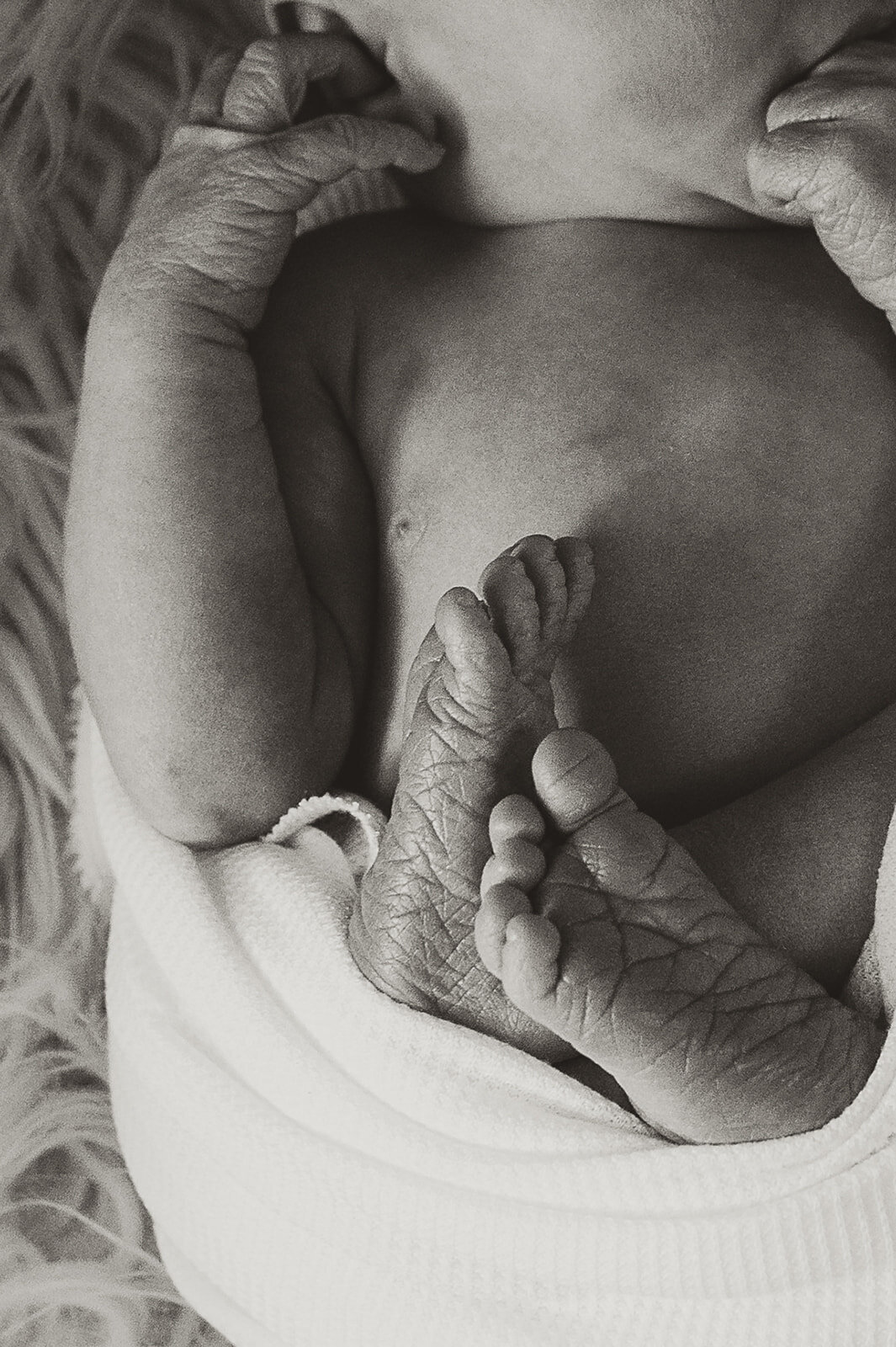 tonya-cassibry-photography-charlotte-newborn-photographer-8366