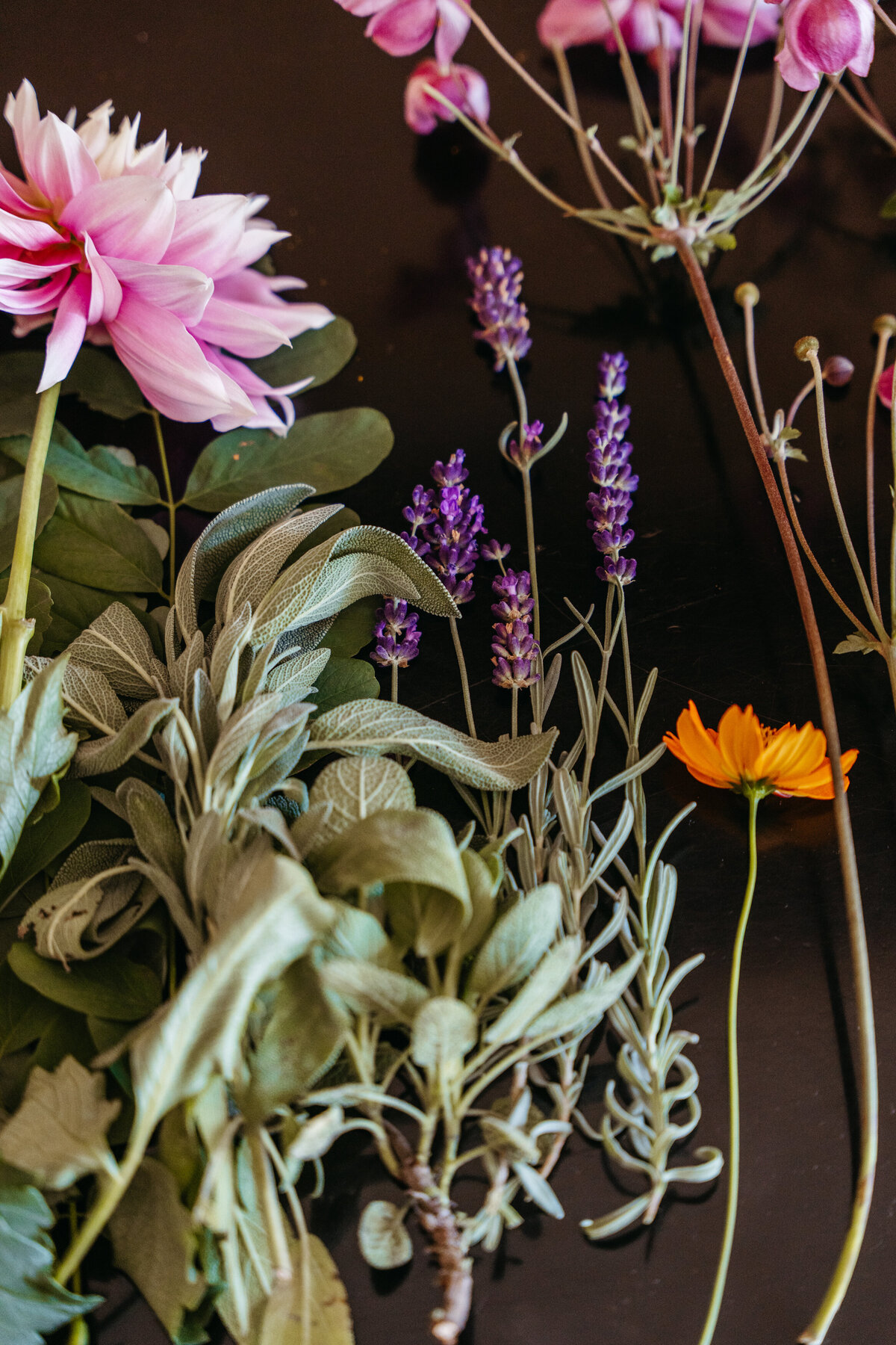 Close-up of orange and yellow flower with sage leaves
