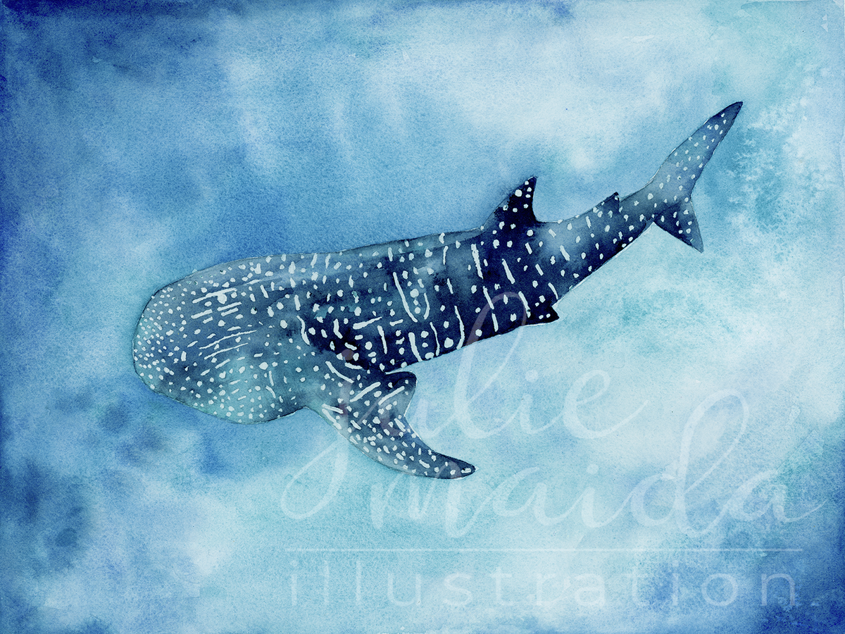 Whale Shark_Web