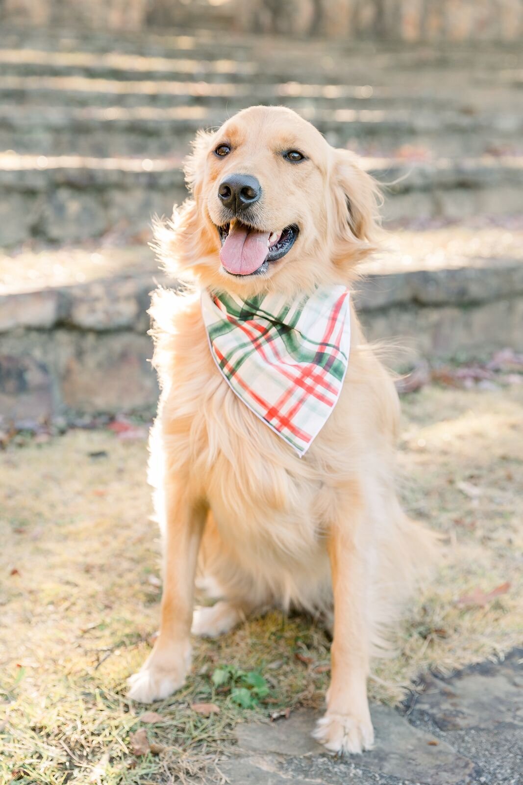 Birmingham family photographer - 10