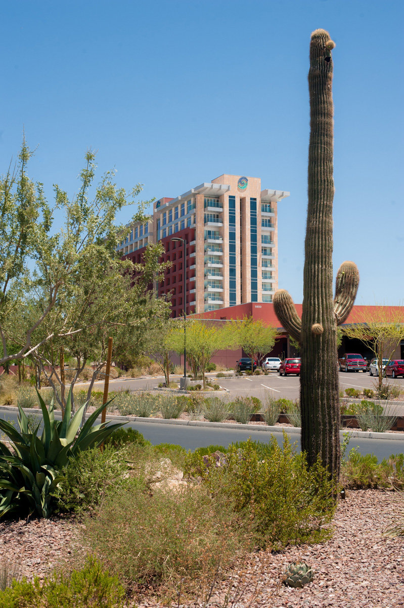 talking_stick_resort_phoenix_event_photographer_37