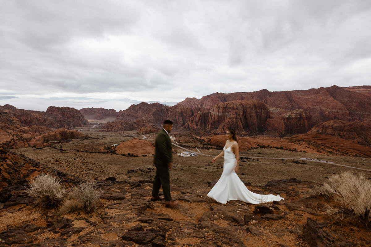 ZionSnowCanyon-dallinhassard-3074