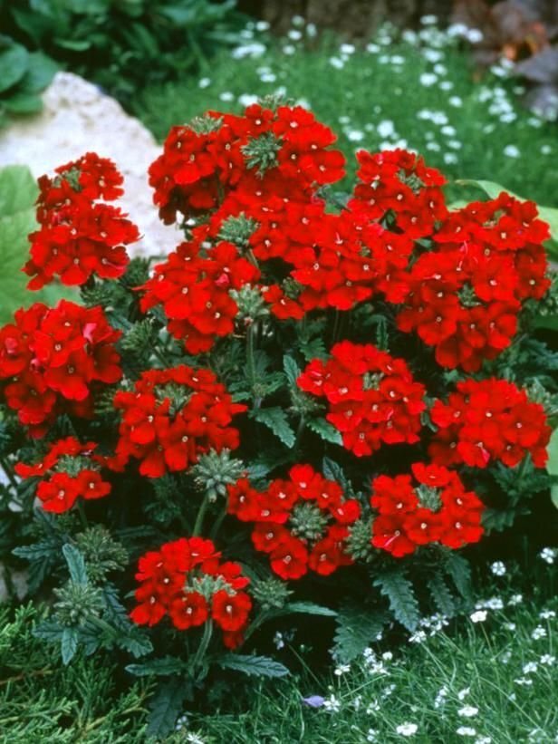 4bbed23cc1bd5f9221638315d69a67aa