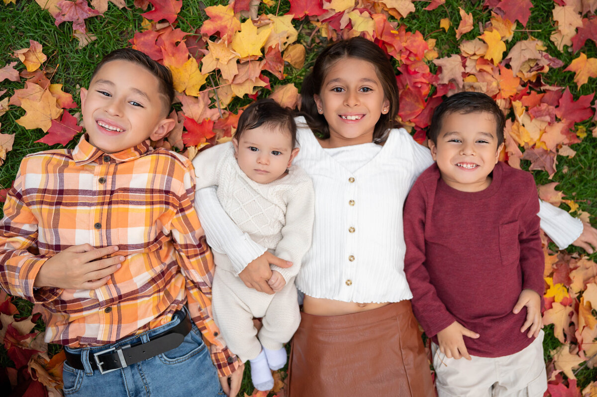 Naperville Family Photographer-104