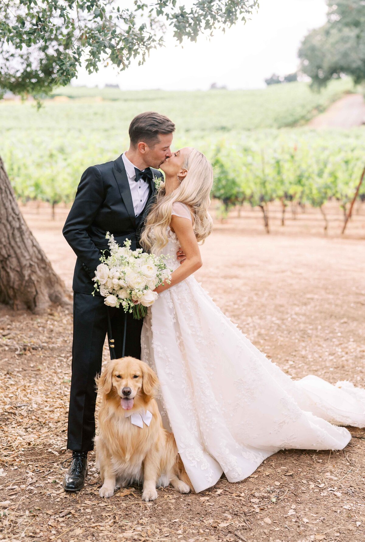WILLOW-BEN-WEDDING-NAPA-PHOTOGRAPHER-41