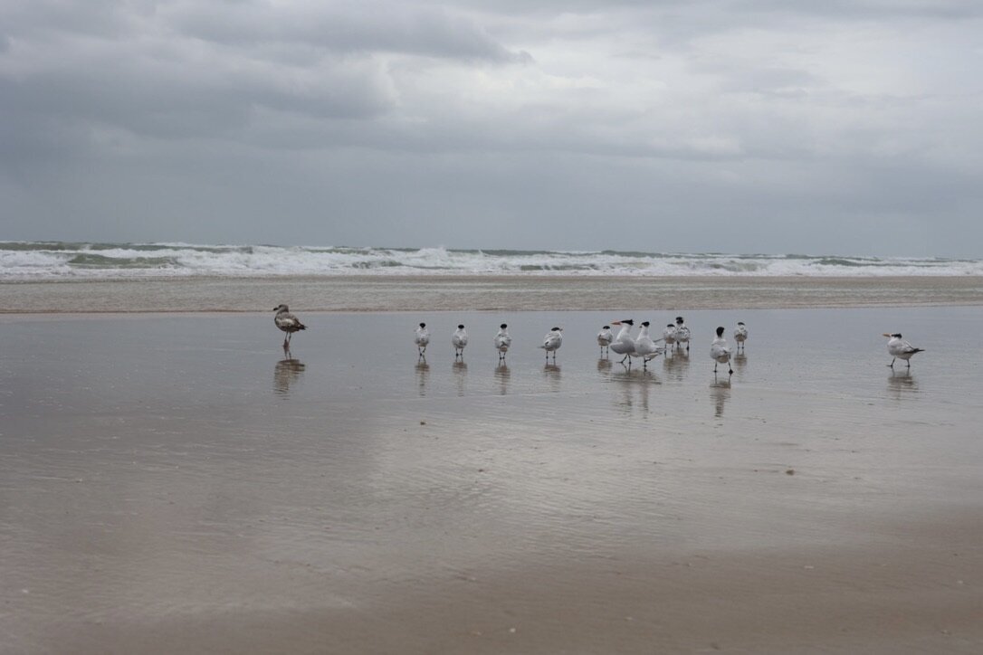 A1527561-5AD8-460F-A337-884BF32A47B6_1_105_c