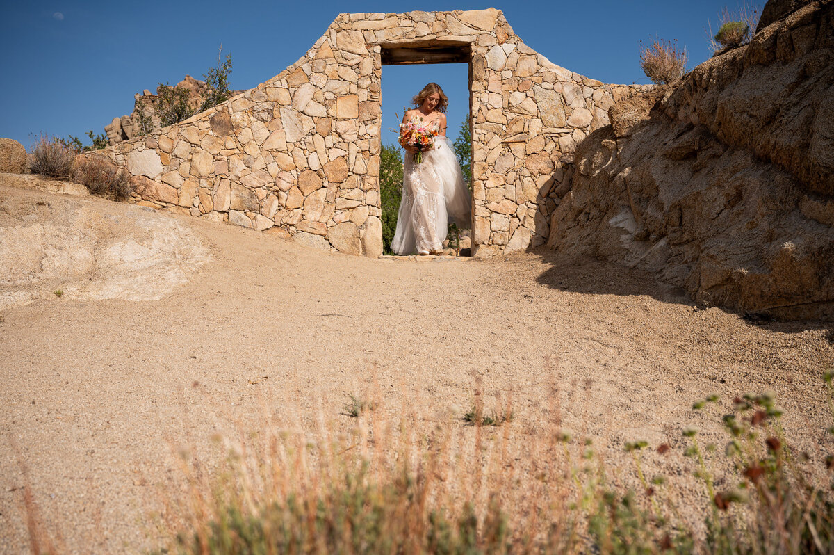 joshua-tree-weddingdayna-brandt31