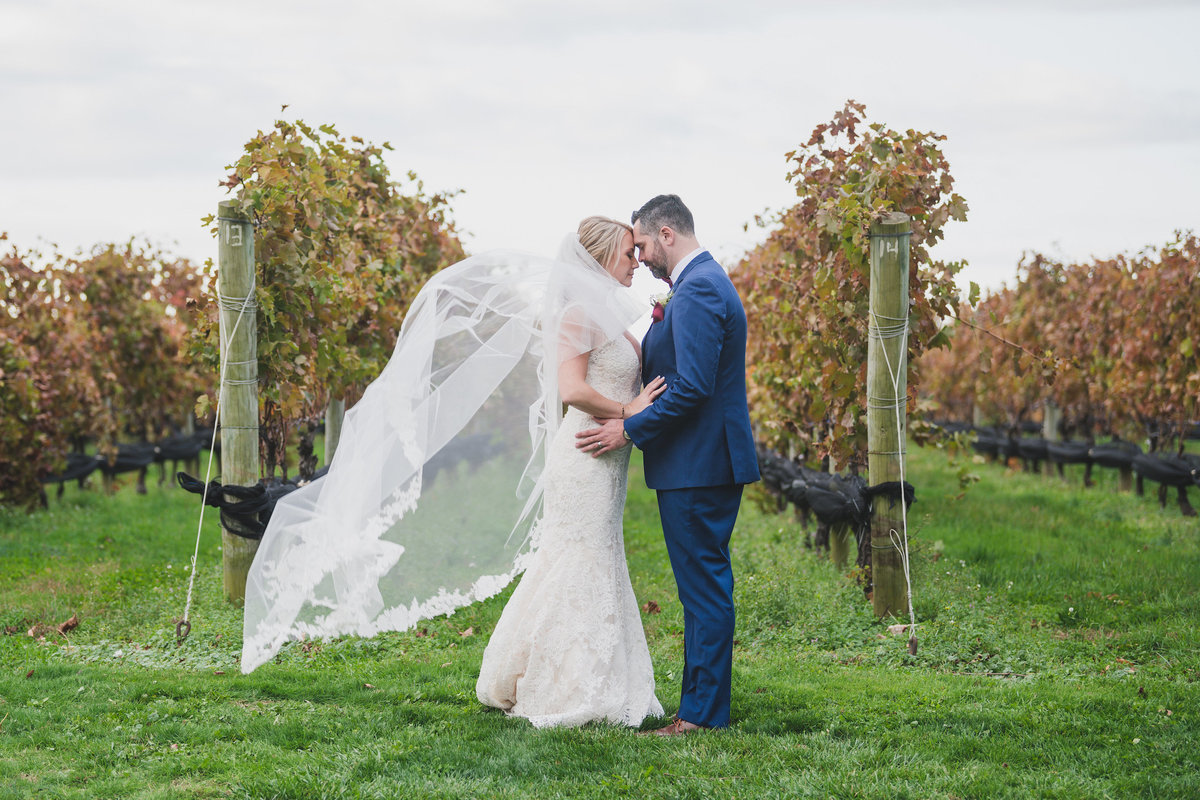wedding photo of bride and groom holding each other in front of vineyards at The Vineyards at Aquebogue