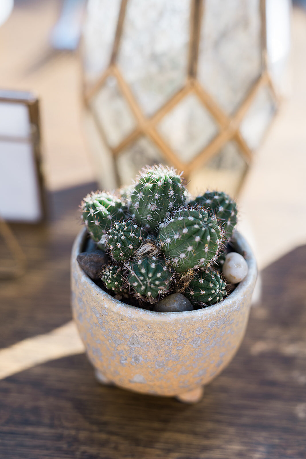 Scottsdale Wedding - Tara Nichole Photo - 2023 - Kenna and Harrison-153