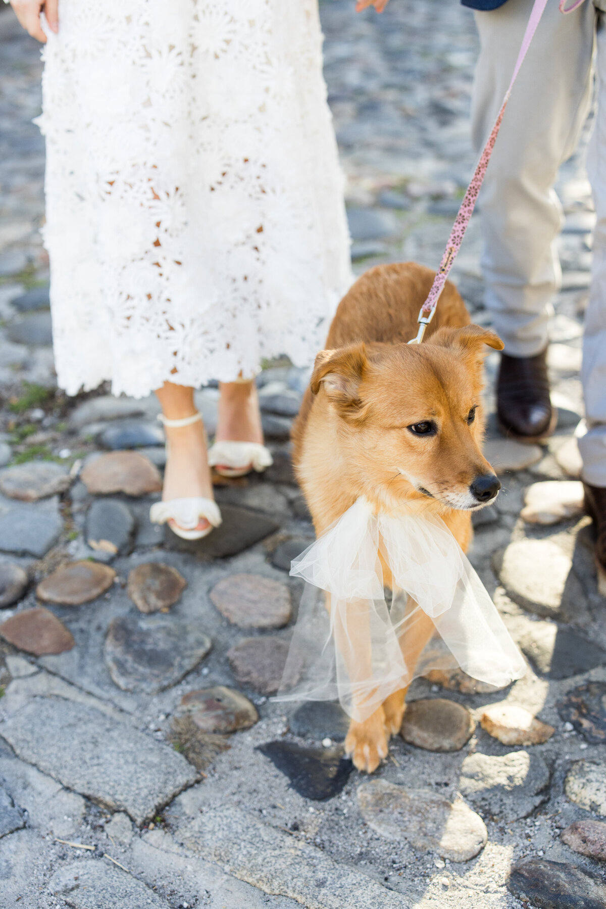 CharlestonEngagementSession-KendraMartinPhotography005