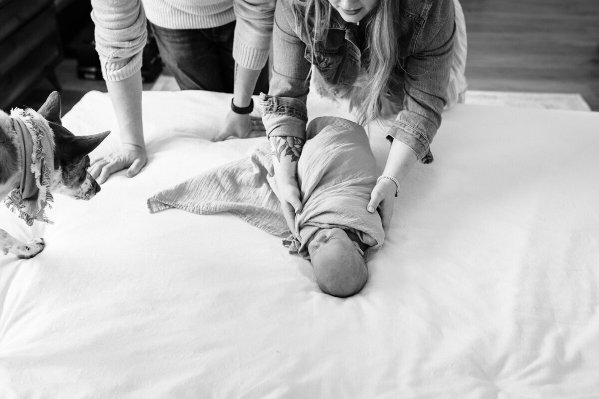 A black-and-white photo shows a couple preparing to swaddle their newborn baby, who is lying on a bed. The family dog curiously watches the process from the side of the bed.