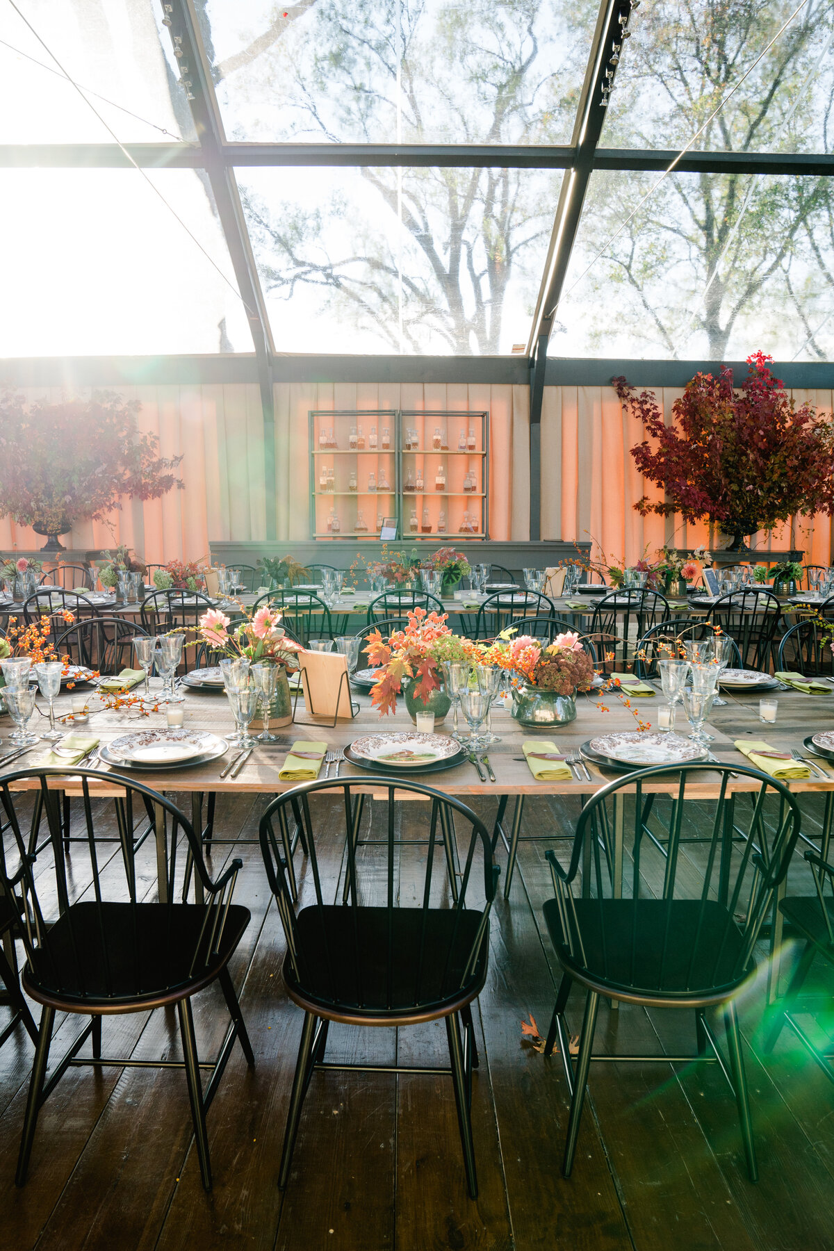 Special-Event-Planner-Virginia-Tented-Birthday-Party0297