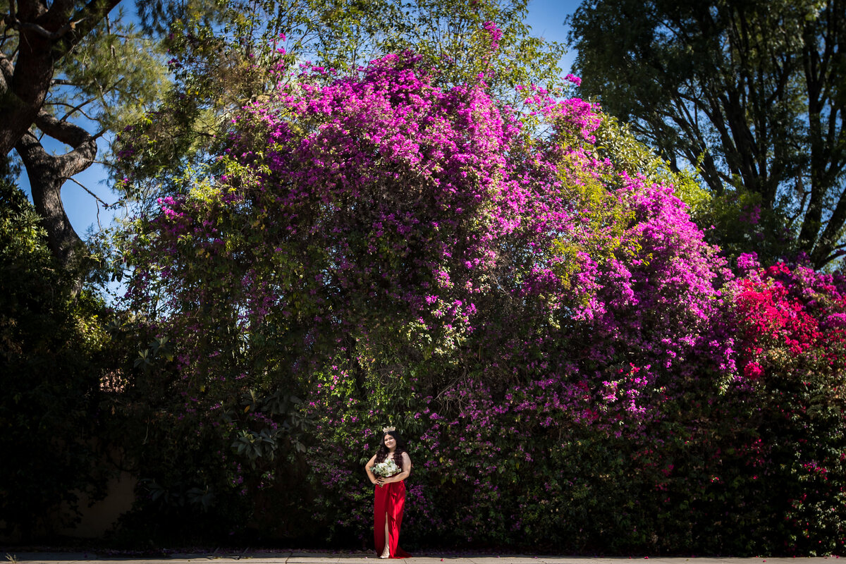 194TepeSuzPhotography_MendezQuince_