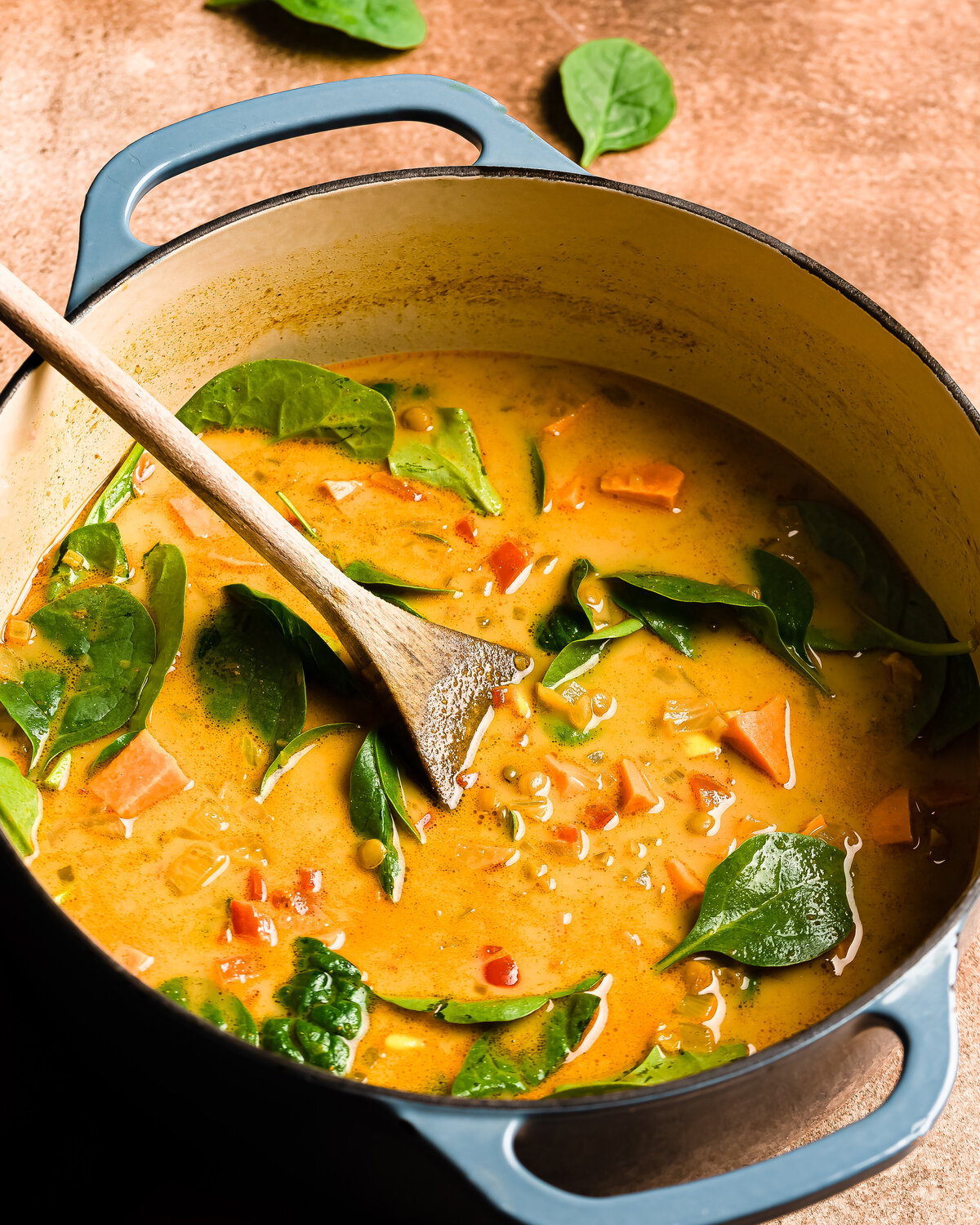 veg and inach Soup-1