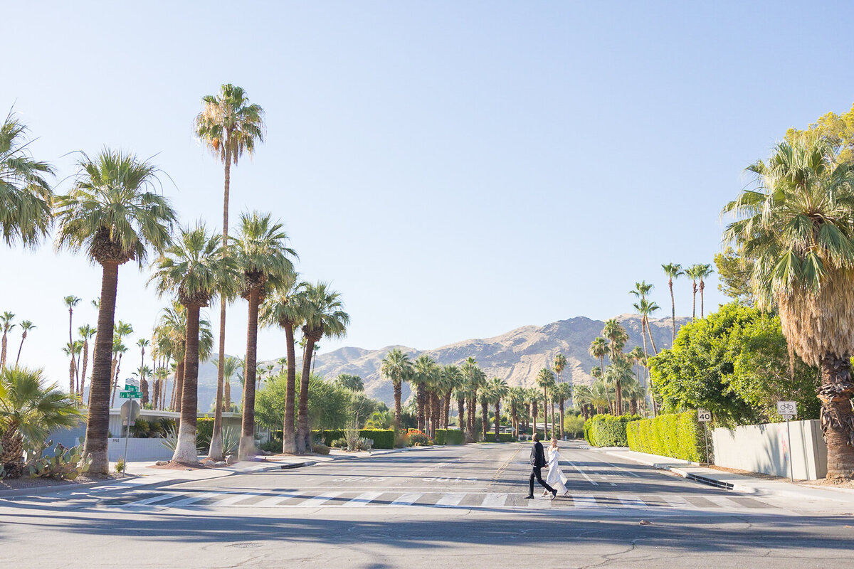 PalmSpringsCAElopementPhotographer-4398
