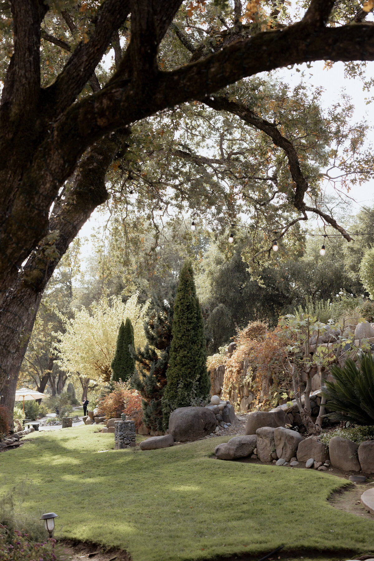 Lavish Moments Wedding Co. Wedding Photography Wedding Videography Wedding Content Creation Diane Nicole Photography Northern California Worldwide Destination TikTok Wedding Content 47