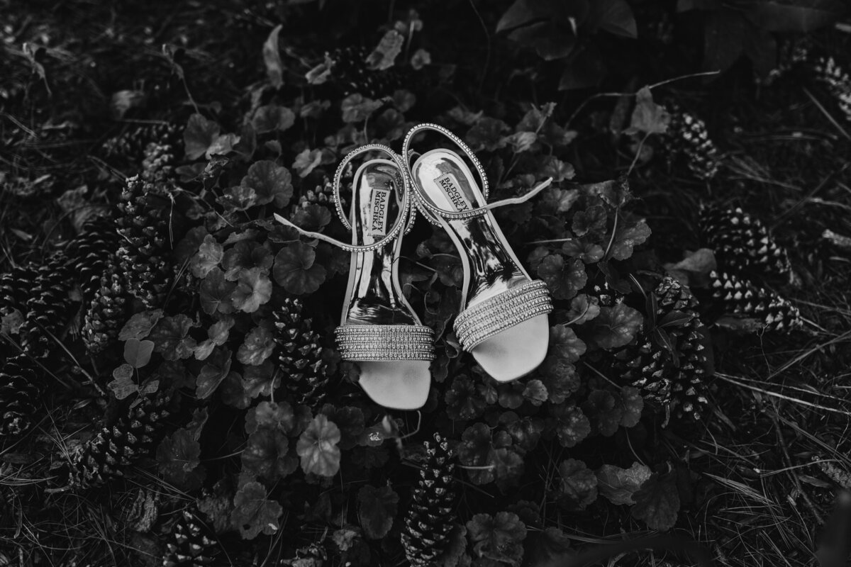 black and white photo of a pair of heels resting on pinecones and leaves