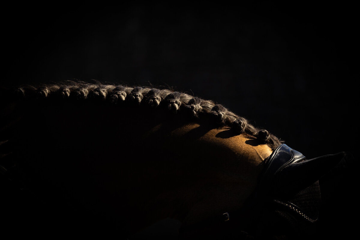 A fine art photo of a horse's mane with golden light on the plaits and black background