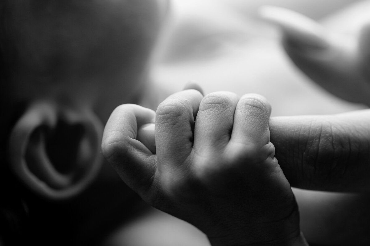 best Fayetteville AR newborn photographer, newborn portraits Cave Springs, best newborn photographer Tontitown AR