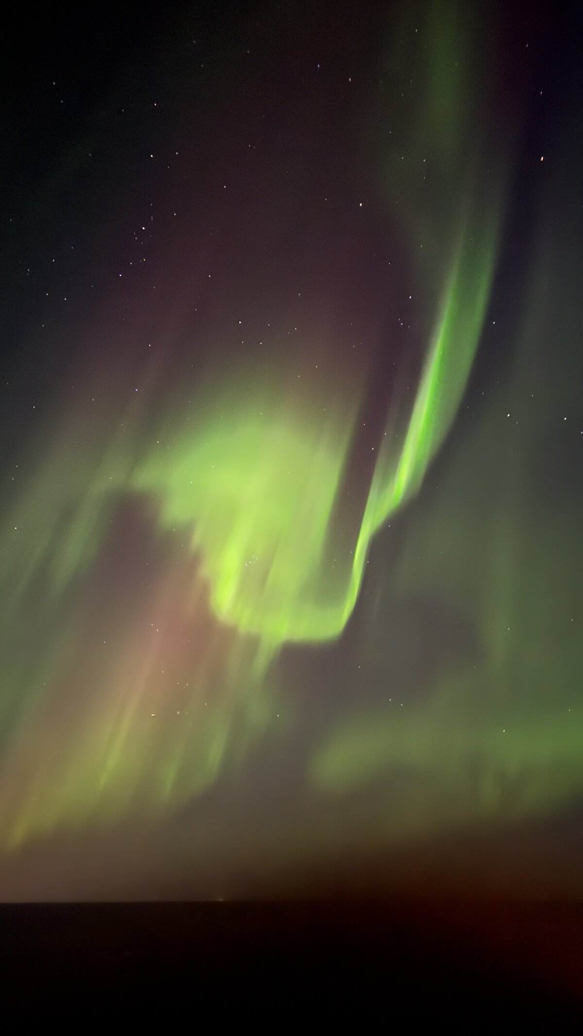 northern lights iceland