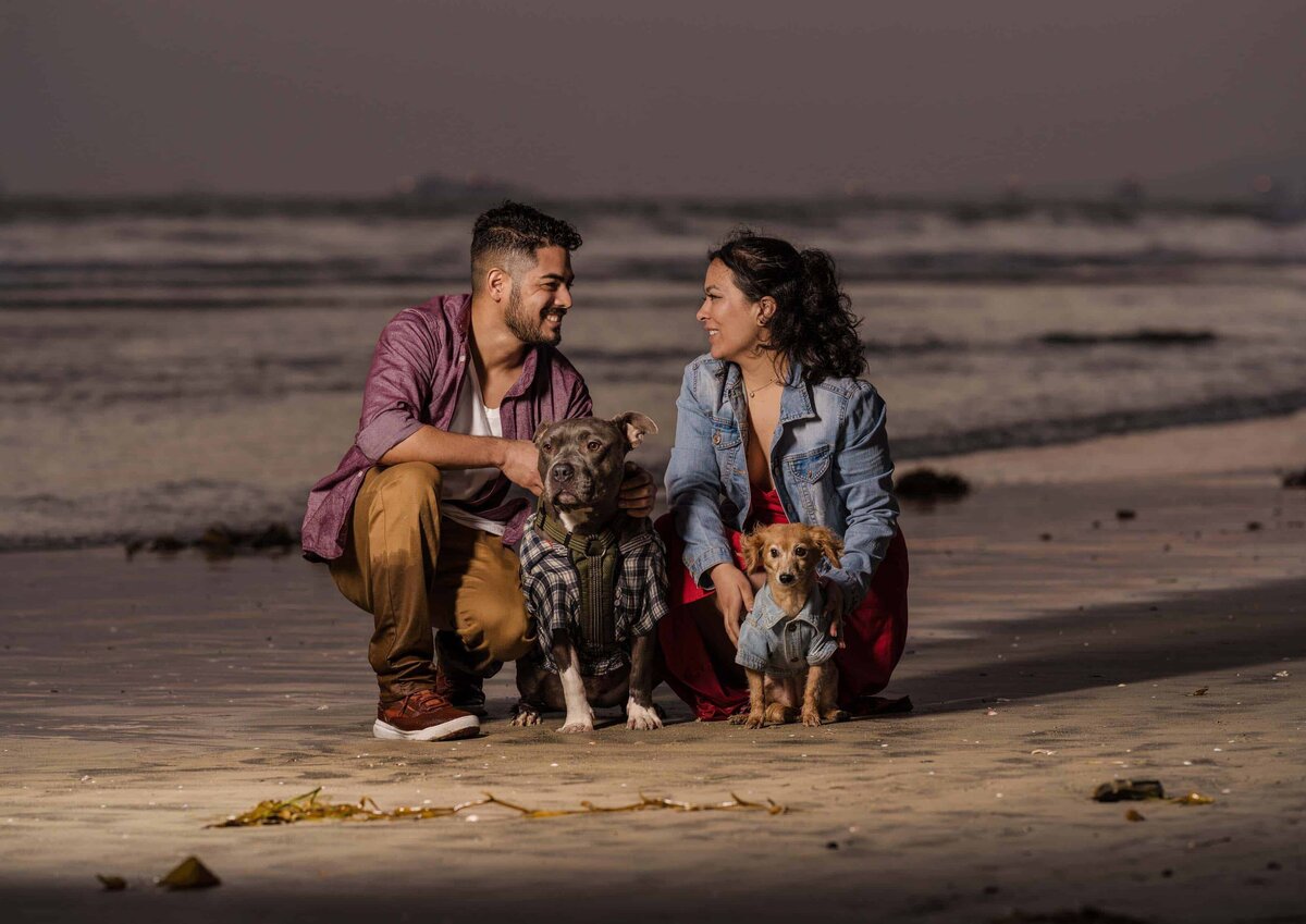 Couple kneeling on beach with 2 dogs at sundset-1