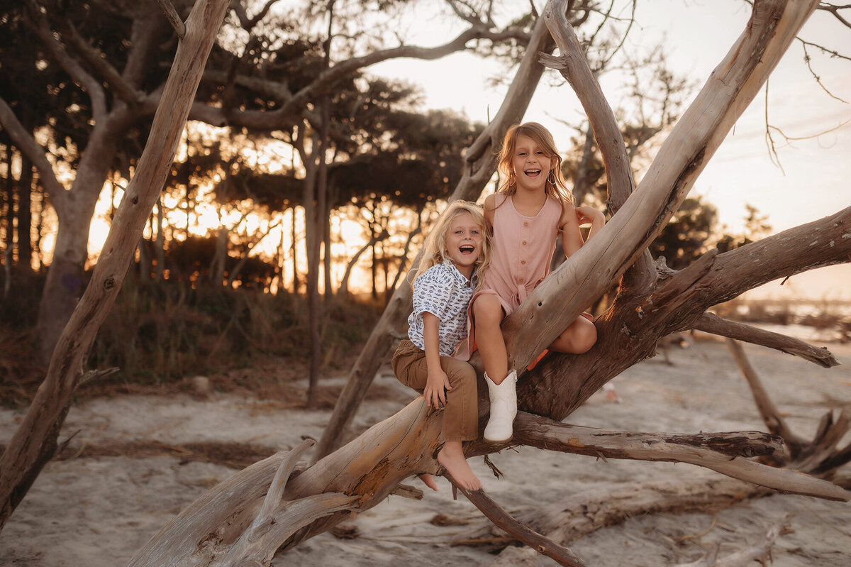Siblings climb a driftwood tree during Family Photos on Folly Beach.