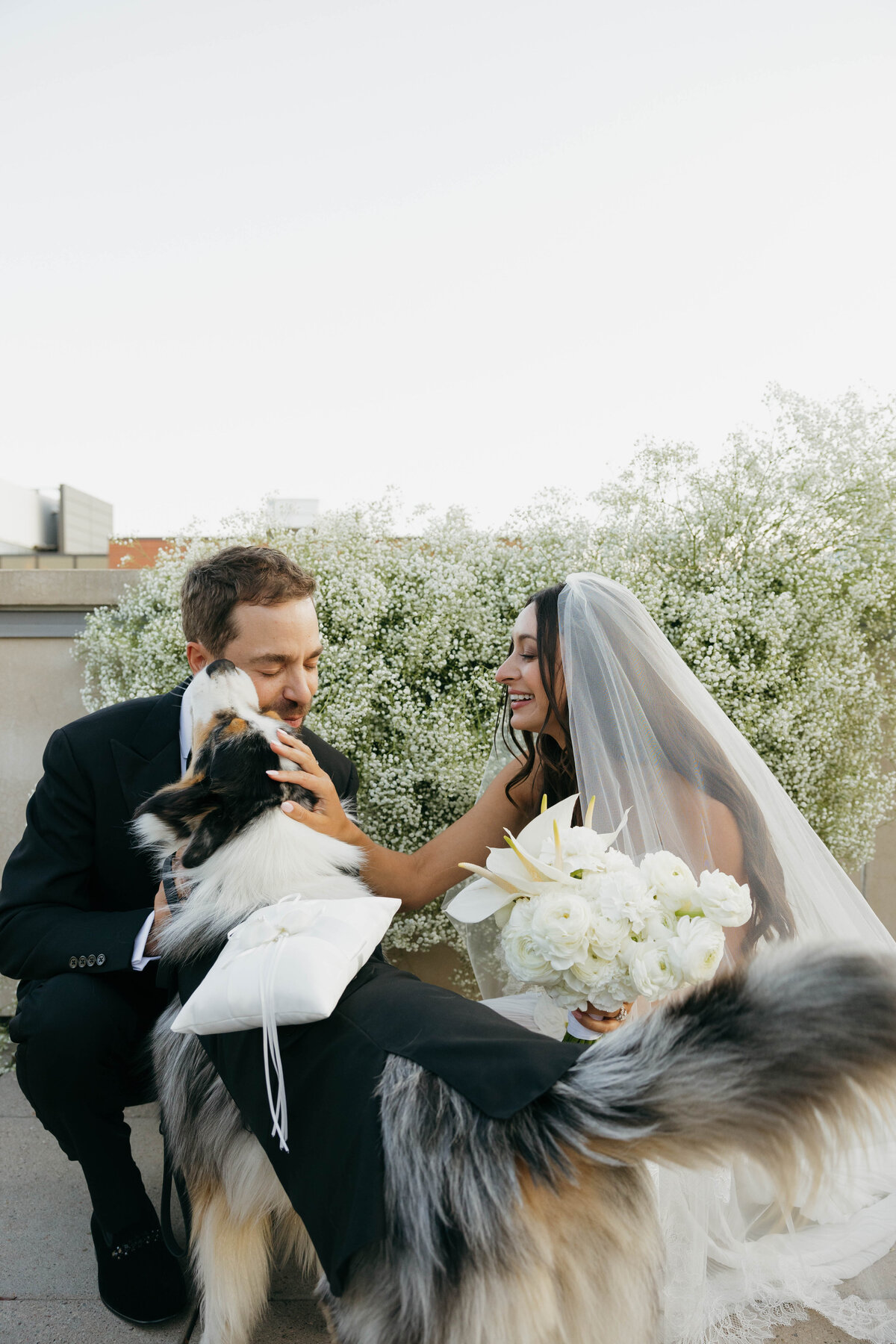 boulder-colorado-wedding-pet-attendant