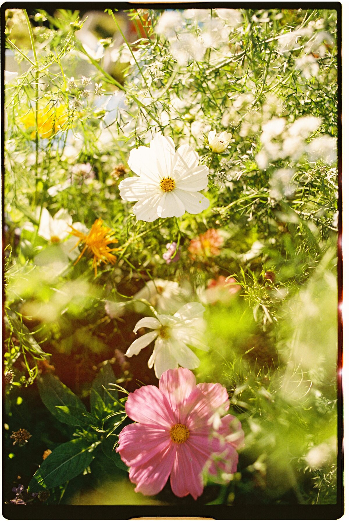 new-england-wedding-photographer99910484-29030