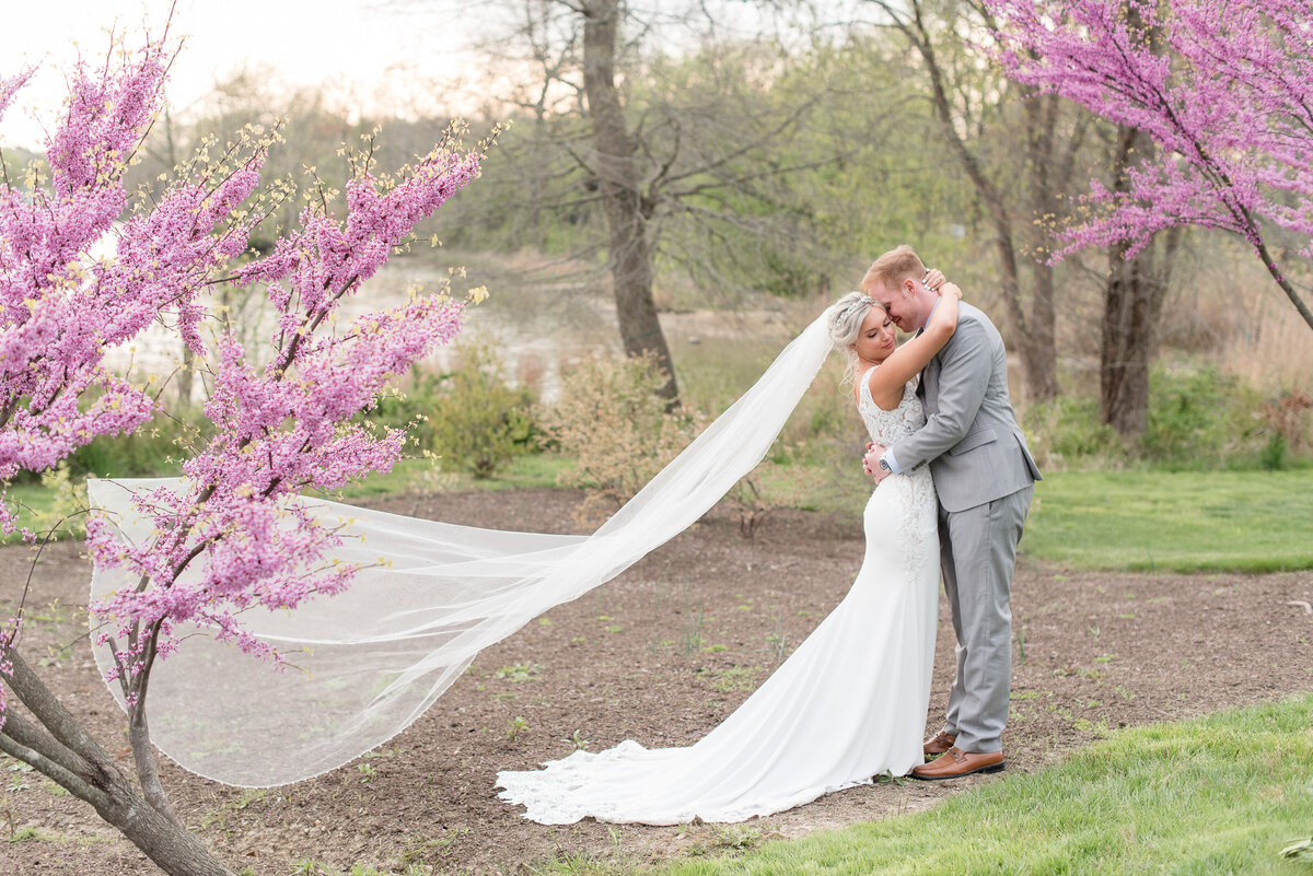 Bride and Groom Portrait surrounded by purple trees and veil flowing in wind