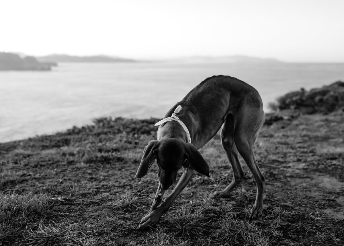 03252023_MaryBeth+AlekEngagements_RodeoBeachCA_AnjaJensenPhotography-97